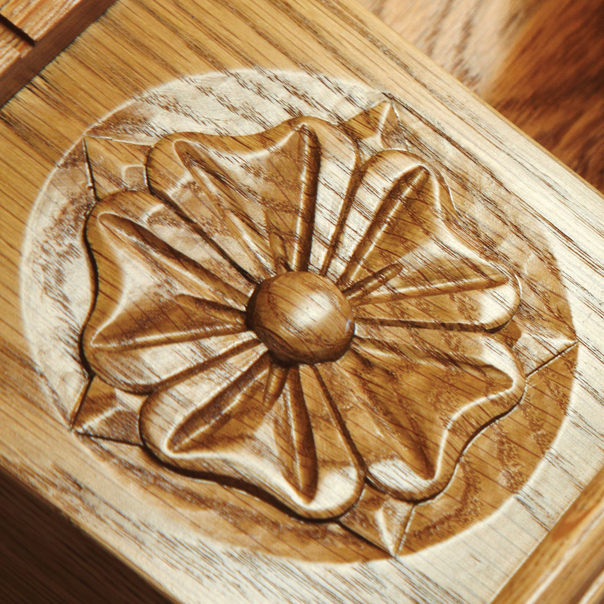 Focus Denbigh manufacturer image 3
