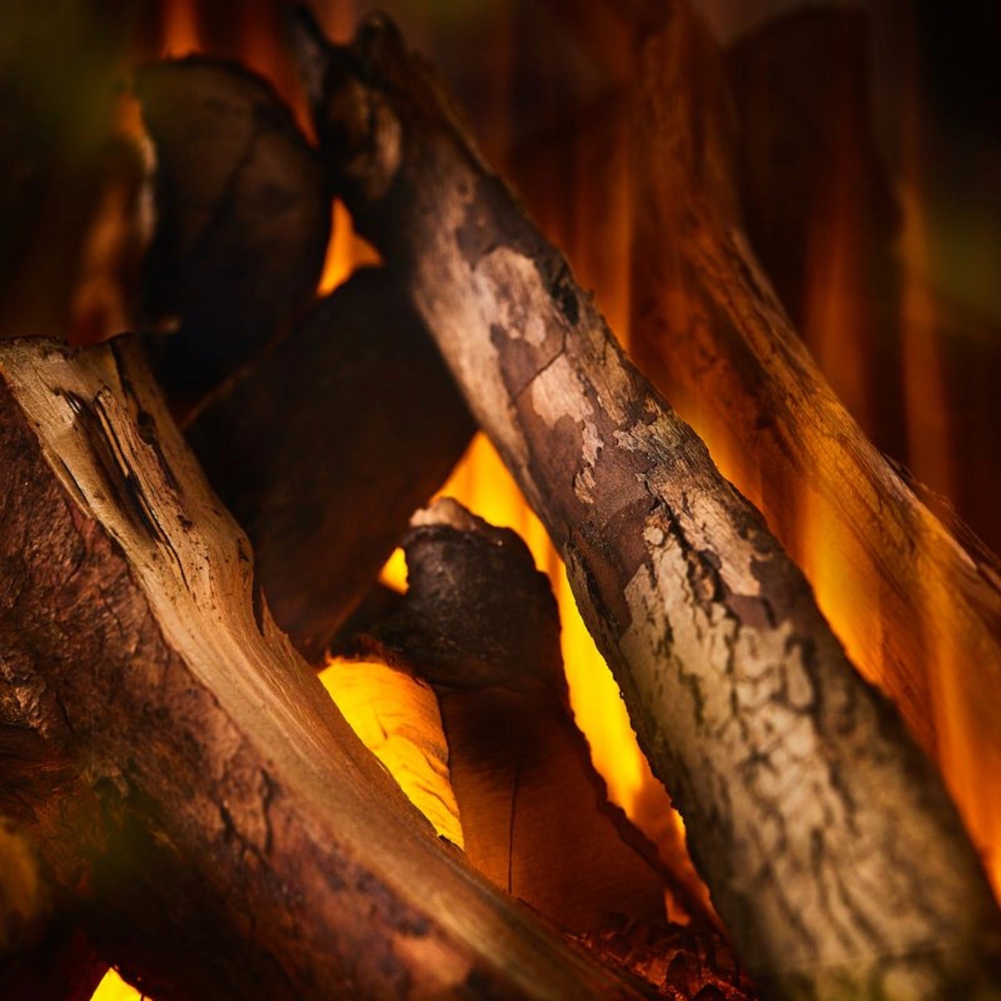 British Fires New Forest 650sq